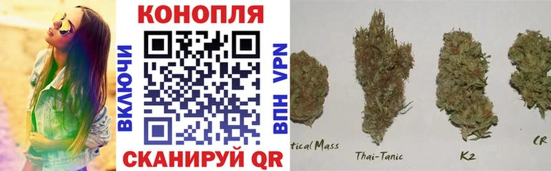 mega онион сколько стоит Усть-Лабинск Шишки марихуана конопля